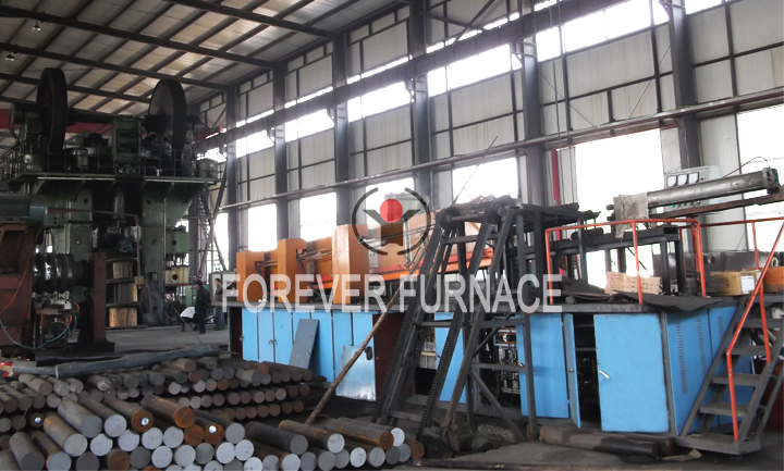 Auto Rear Axle Forging Heating Furnace